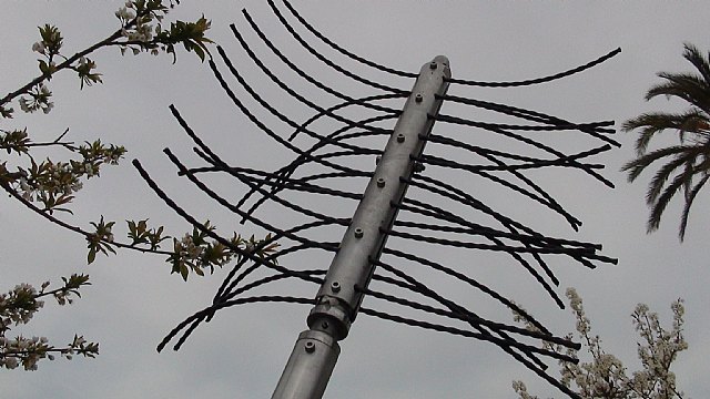 Agricultura y las politécnicas de Cartagena y Valencia consiguen reducir el tiempo necesario para el aclareo de melocotoneros - 2, Foto 2