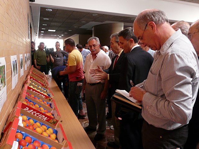 Presentadas en el CEBAS-CSIC cinco nuevas variedades  tempranas de albaricoque - 1, Foto 1