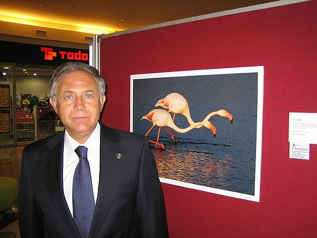 La riqueza en biodiversidad del entorno del Mar Menor duplica la media europea - 2, Foto 2