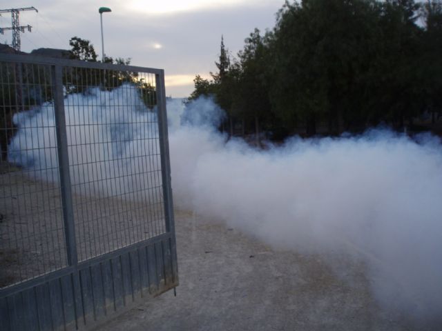 Blanca limpia su río de mosquitos - 2, Foto 2