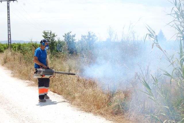 Fumigan de nuevo las inmediaciones del Río Segura a su paso por Alguazas - 2, Foto 2