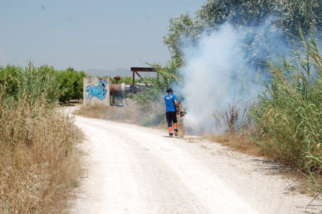 Fumigan de nuevo las inmediaciones del Río Segura a su paso por Alguazas - 3, Foto 3