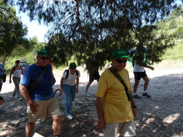 Más de un centenar de personas participan en la I Marcha por el Día Mundial del Medio Ambiente celebrada en Mula - 1, Foto 1