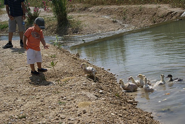 Calasparra conmemoró el Día Mundial del Medio Ambiente - 1, Foto 1