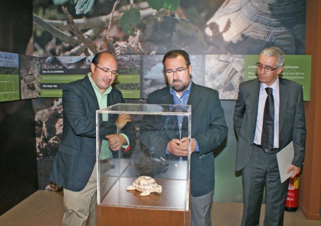 Agricultura remodera la Sala de Interpretación del Albergue Juvenil y el entorno natural del Cabezo de la Jara, en Puerto Lumbreras - 1, Foto 1