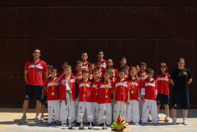 Finaliza la Liga Regional de Taekwondo - 1, Foto 1