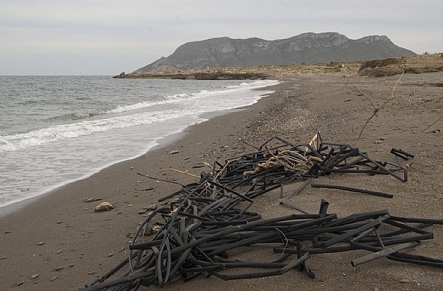 A.V.A. organiza una jornada de limpieza de las playas de Águilas - 1, Foto 1
