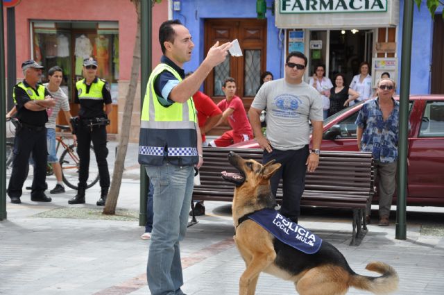 Mula pone en marcha una Unidad Canina especializada en la detección de estupefacientes - 2, Foto 2