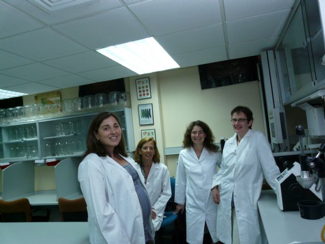 Científicos de diez países estudian los efectos del cambio climático en la producción de frutas y hortalizas - 1, Foto 1