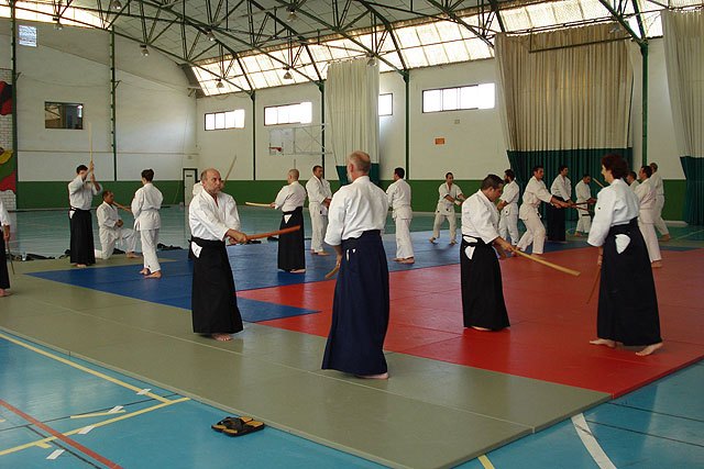 El segundo curso de Aikido “Ciudad de Totana” se celebró el pasado sábado 5 de junio - 1, Foto 1