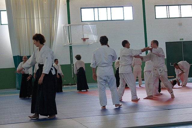 El segundo curso de Aikido “Ciudad de Totana” se celebró el pasado sábado 5 de junio, Foto 3