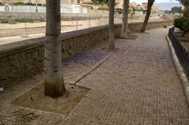 A.V.A. denuncia otro vergonzoso 