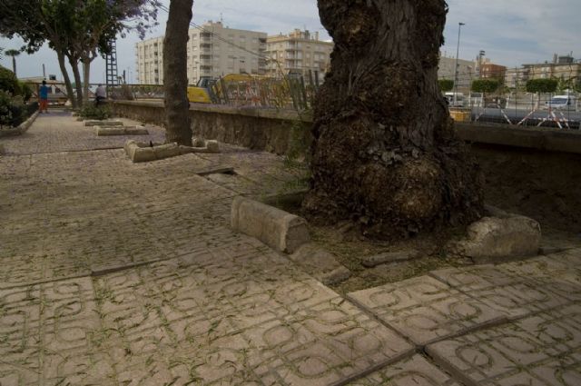 A.V.A. denuncia otro vergonzoso 