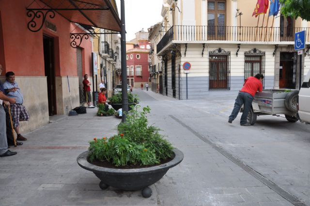 La Escuela Taller de Mula decora las jardineras de las calles comerciales de la ciudad con flores de temporada - 2, Foto 2