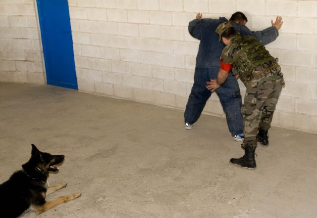 La Unidad Canina de Policía Naval hace prácticas en el Cartagonova - 1, Foto 1