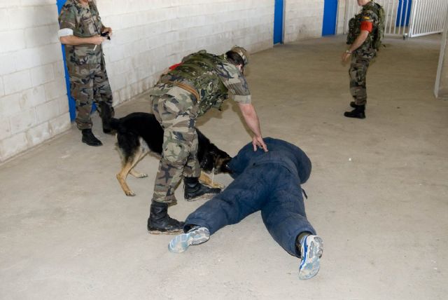 La Unidad Canina de Policía Naval hace prácticas en el Cartagonova - 2, Foto 2