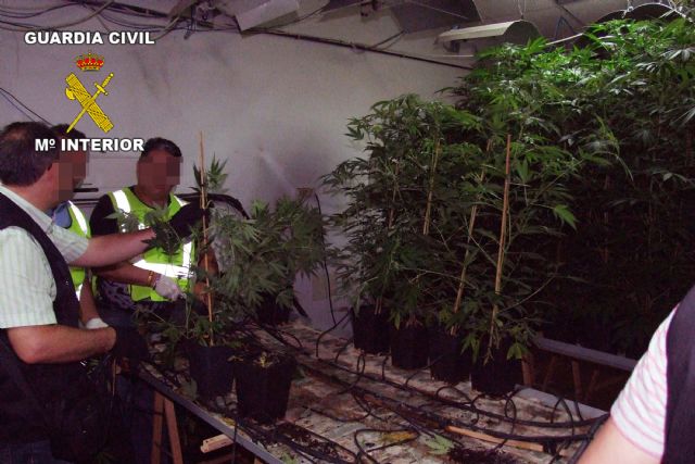 La Guardia Civil desmantela un punto de producción y distribución de marihuana en Las Torres de Cotillas - 4, Foto 4