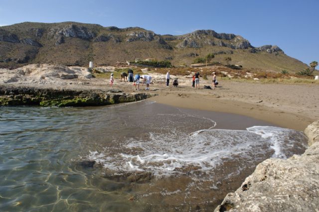 Voluntarios de A.V.A. recogieron 600 kilos de basura en las playas de Águilas - 2, Foto 2