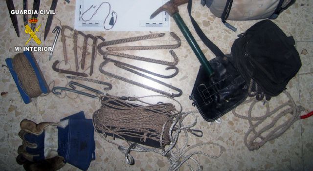 El Seprona de la Guardia Civil decomisa una treintena de aves fringílidas capturadas furtivamente - 2, Foto 2