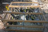 El Seprona de la Guardia Civil decomisa una treintena de aves fringlidas capturadas furtivamente