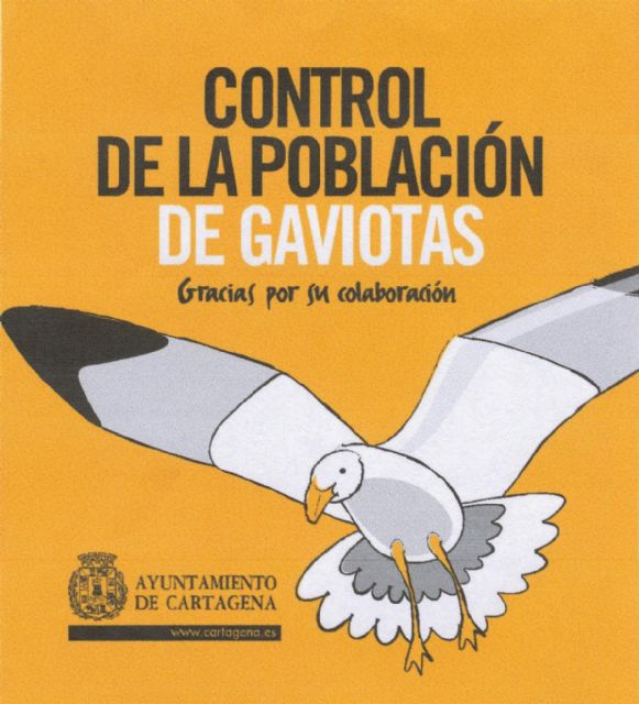 Retirados 81 nidos de gaviotas, casi el doble que el pasado año - 2, Foto 2