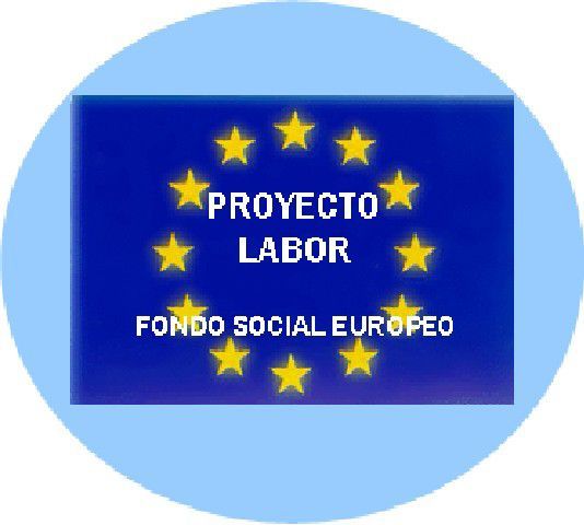 Los alumnos de la cuarta fase del Proyecto Labor reciben sus diplomas - 1, Foto 1