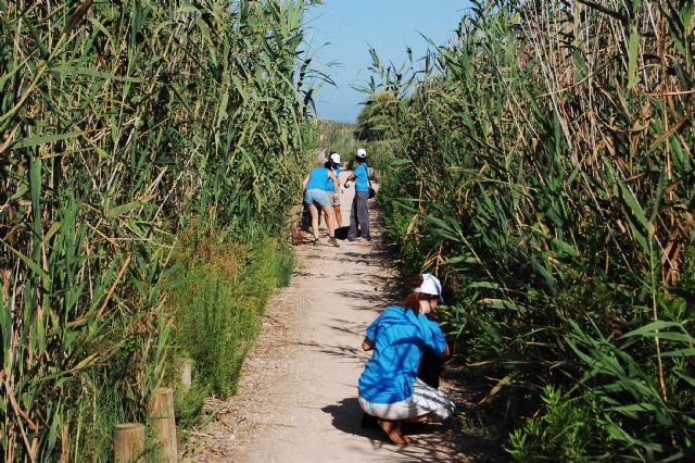Un grupo de voluntarios limpia la playa de la Hita y conoce ms sobre los espacios naturales del Mar Menor - 3