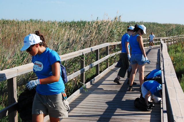 Un grupo de voluntarios limpia la playa de la Hita y conoce ms sobre los espacios naturales del Mar Menor - 5