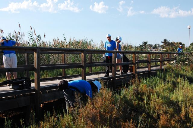 Un grupo de voluntarios limpia la playa de la Hita y conoce ms sobre los espacios naturales del Mar Menor - 6
