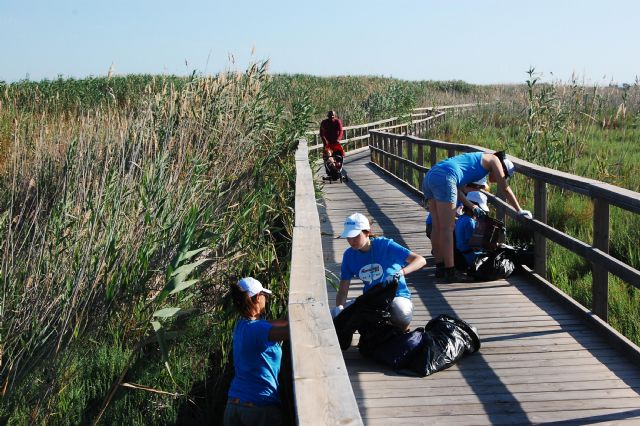 Un grupo de voluntarios limpia la playa de la Hita y conoce ms sobre los espacios naturales del Mar Menor - 7