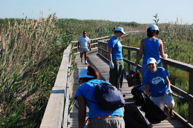 Un grupo de voluntarios limpia la playa de la Hita y conoce ms sobre los espacios naturales del Mar Menor - 8