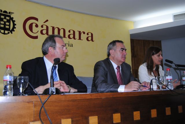 El delegado del Gobierno en Murcia destaca el impulso del ICO con las empresas de la Región con más de 430M€ - 1, Foto 1