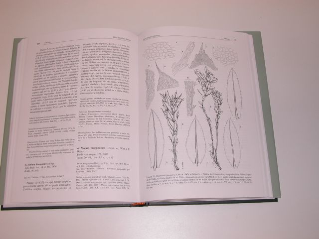 Un grupo de investigación de la Universidad de Murcia publica un libro sobre la flora de briófitos de la Península Ibérica - 2, Foto 2