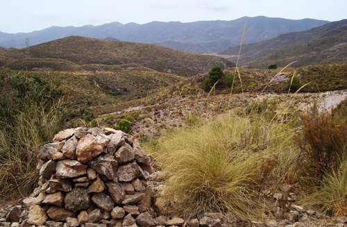 La Fundación Global Nature construye ochenta refugios para reptiles en su red de custodia del territorio - 2, Foto 2