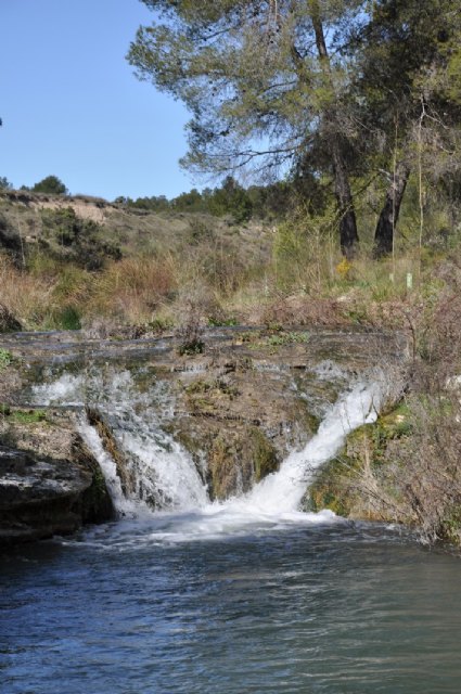 Agricultura concluye la restauración de las riberas en el tramo alto del río Quípar, entre Caravaca de la Cruz y Cehegín - 2, Foto 2