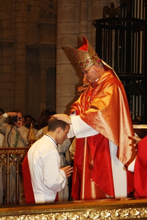 Mons. Lorca Planes ordena a tres sacerdotes en la Catedral de Murcia - 8