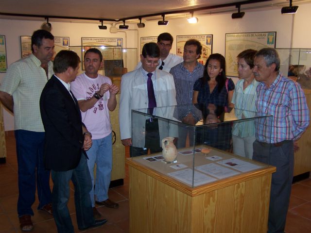 La Sala de Termas Romanas acoge la exposición La recuperación del patrimonio arquerológico de Águilas: de la excavación al museo - 1, Foto 1