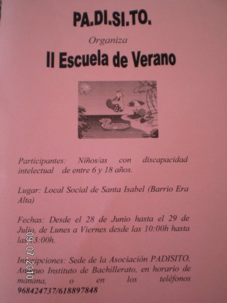 PADISITO organiza la II Escuela de Verano - 1, Foto 1