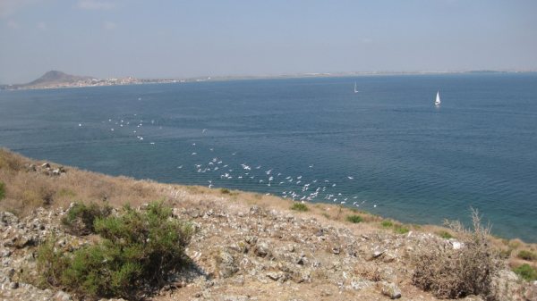 Ms de 40 voluntarios participan en las actividades de anillamiento de aves - 8
