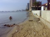 UPyD denuncia el mal estado de algunas playas de La Manga