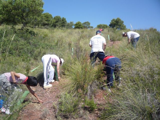 Alumnos del Centro Ocupacional José Moya participan en una actividad de colaboración medioambiental - 2, Foto 2