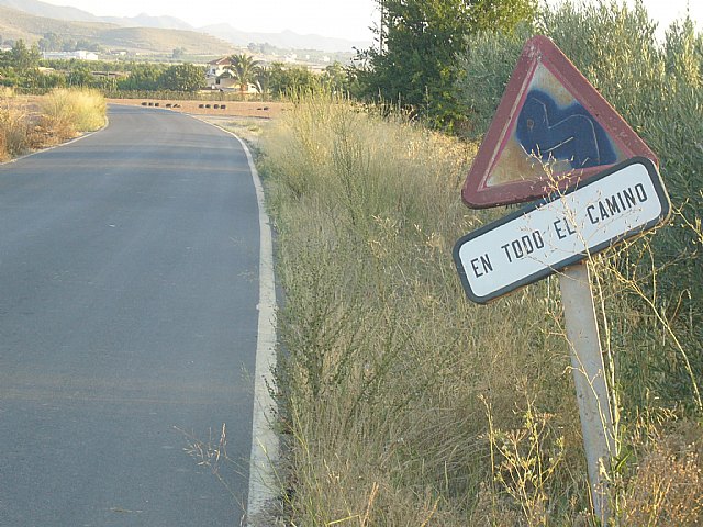 El PSOE exige la reparación de la carretera de la Malvaloca, con graves desperfectos solo un año y medio después de su reasfaltado - 4, Foto 4