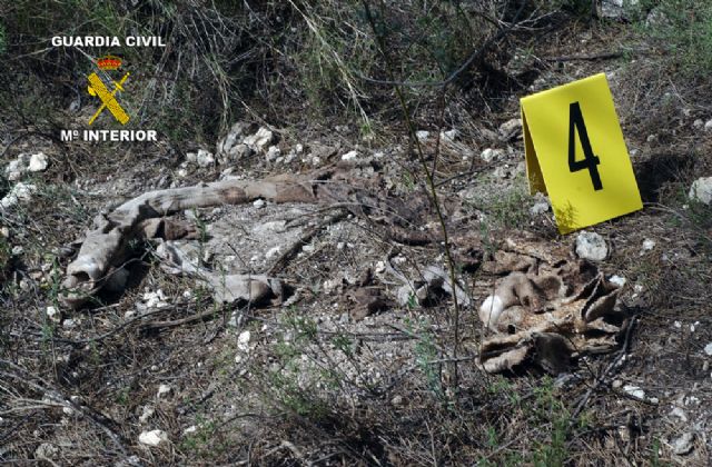 La Guardia Civil esclarece un homicidio acaecido en 2006 - 4, Foto 4