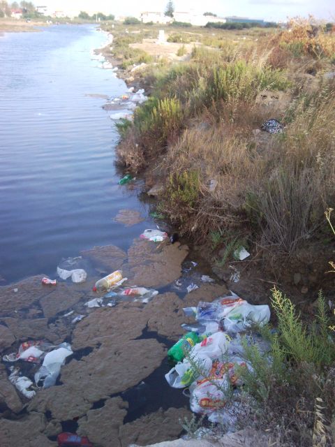 Los socialistas denuncian que el ayuntamiento ha convertido el Canal de las Salinas de Marchamalo en la nueva zona de botelleo permitido - 1, Foto 1