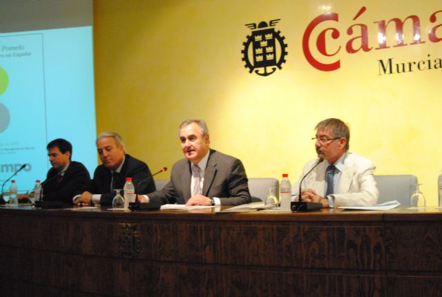 El delegado del Gobierno inaugura las Jornadas sobre el sector del Limón y el Pomelo en España - 1, Foto 1
