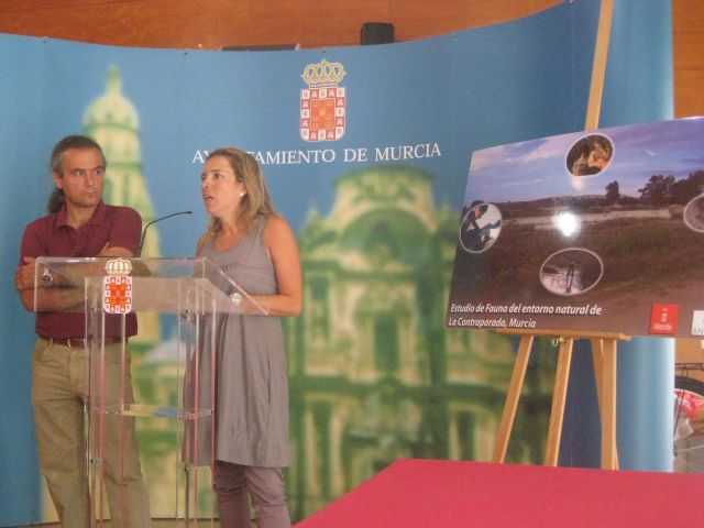 La nutria vuelve al Segura - 2, Foto 2