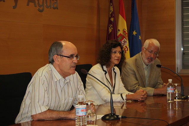 Agricultura previene a los productores sobre el Greening, la enfermedad más destructiva de los cítricos - 1, Foto 1