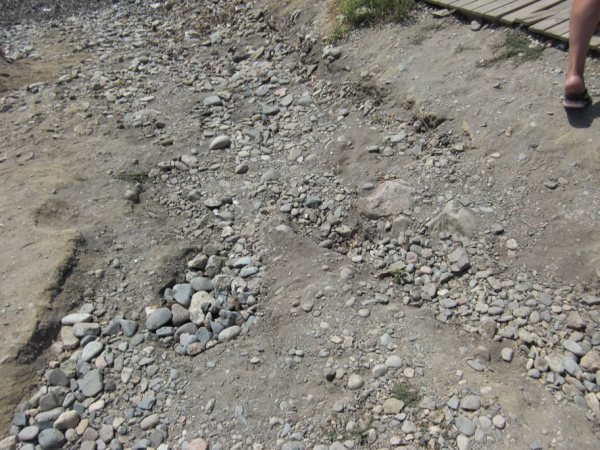 PSOE: “Las competencias de limpieza, accesos y equipamientos de las playas lorquinas son del Ayuntamiento, no de Costas” - 2, Foto 2