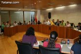 La concejalía de Participación Ciudadana presentará una moción al Pleno de julio