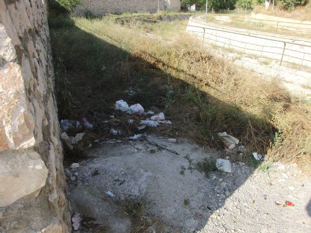 PSOE: La falta de limpieza de algunas zonas, los destrozos y actos de vandalismo, intensifican las quejas de los vecinos de algunos barrios - 2, Foto 2